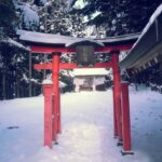 Shizuoka: Nagano Snow monkey park & Heritage Private Tour - The Itinerary Breakdown: What’s Included