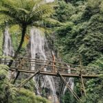 Shore Excursion Cruise Ship From Celukan Bawang Port - What’s Included and What’s Extra?