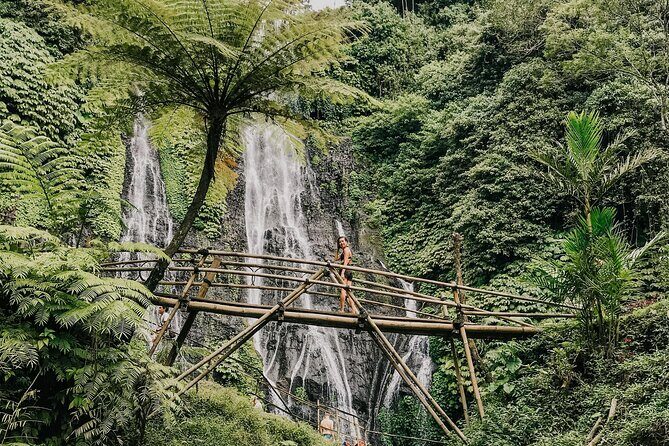 Shore Excursion Cruise Ship From Celukan Bawang Port - What’s Included and What’s Extra?