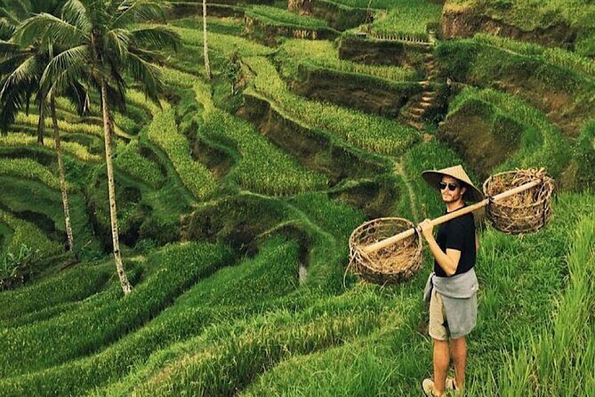 Shore Excursion Cruise Ship From Celukan Bawang Port - Who Will Love This Tour?