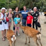 Shore Excursion: Full Day Private Nara Tour from Osaka /Kobe port - In-Depth Look at the Itinerary