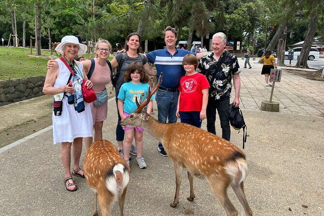 Shore Excursion: Full Day Private Nara Tour from Osaka /Kobe port - In-Depth Look at the Itinerary