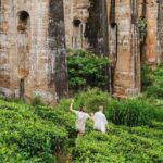 Shore Excursion Hambantota Port to Ella Day Tour (All Inclusive) - An In-Depth Look at the Ella Day Tour