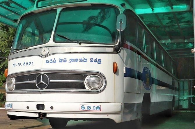 Shore Excursion Kelaniya Temple & Colombo city day trips - Who Will Benefit Most from This Tour?