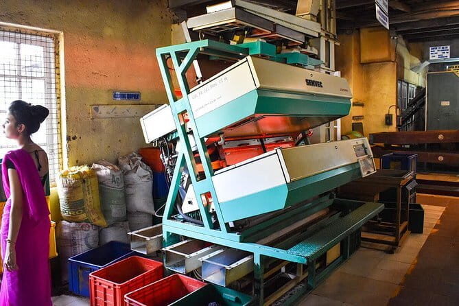 Shore Excursions Colombo Port Passenger Terminal to Kandy By Car. - What to Expect from the Tour