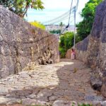 Shurijo Castle & Royal Mausoleum Tour  Ryukyu Kingdom Heritage - Who Will Love This Tour?
