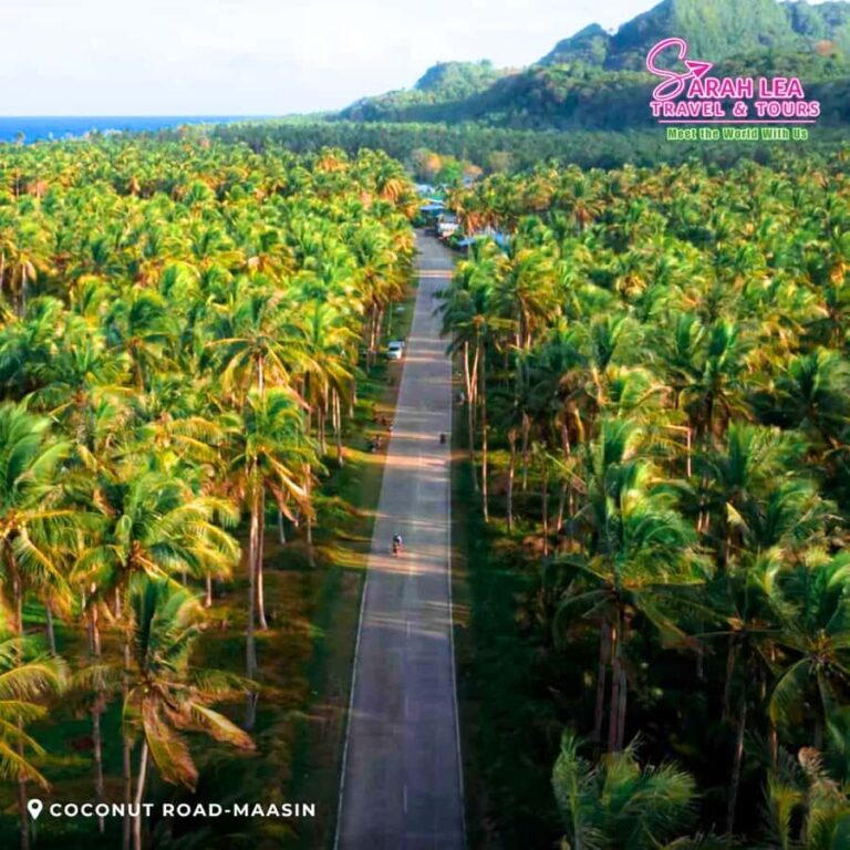 Siargao: Full-Day Land Adventure & Scenic Highlights Tour - Practical Details and Value