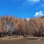 Sichuan: Bipeng Valley Ticket - Who Should Consider This Tour?