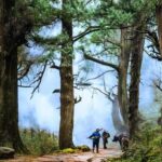 Sichuan: Jinniu Ancient Mile Road Hiking Tour with Guide - What We Loved About the Tour