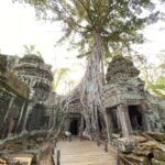 Siem Reap: Angkor Temples & Pre Rup Sunset Guided Tour - What Makes This Tour Stand Out?