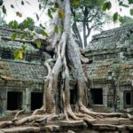 Siem Reap: Angkor Wat Explore The Most Iconic Temples - What to Expect from This Angkor Temples Tour