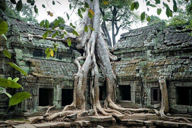 Siem Reap: Angkor Wat Explore The Most Iconic Temples - What to Expect from This Angkor Temples Tour