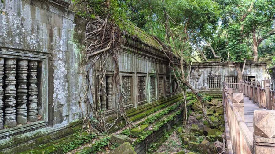 Siem Reap: Beng Mealea & Kampong Khleang Day Trip - Transportation and Group Size