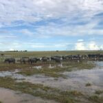 Siem Reap Countryside Bicycle Tour 4 hours - Final Thoughts