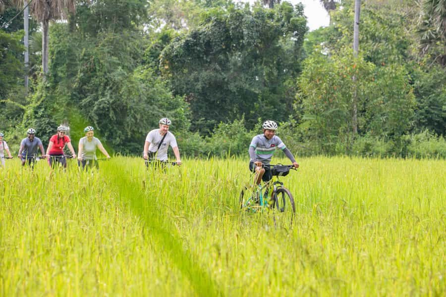 Siem Reap: Countryside Bike Tour - Farms, Temples & Snacks - Itinerary Breakdown