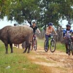 Siem Reap Countryside Discovery By Bicycle - In-Depth Look at the Itinerary