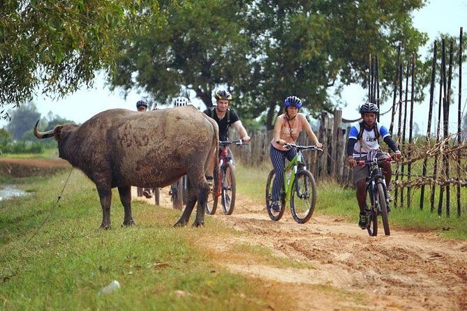 Siem Reap Countryside Discovery By Bicycle - In-Depth Look at the Itinerary