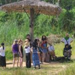 Siem Reap: Elephant Sanctuary Guided Tour - Why This Tour Is Worth It