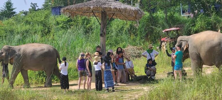Siem Reap: Elephant Sanctuary Guided Tour - Why This Tour Is Worth It