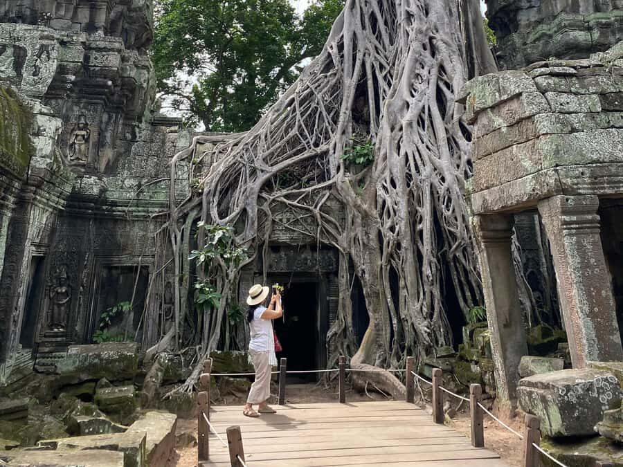 Siem Reap Half-Day: Angkor Wat & Ta ProhmLess Crowds & Heat - Who Is This Tour Best Suited For?