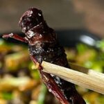 Siem Reap: Street Food in private & in English - Final Thoughts: Who Should Consider This Tour?