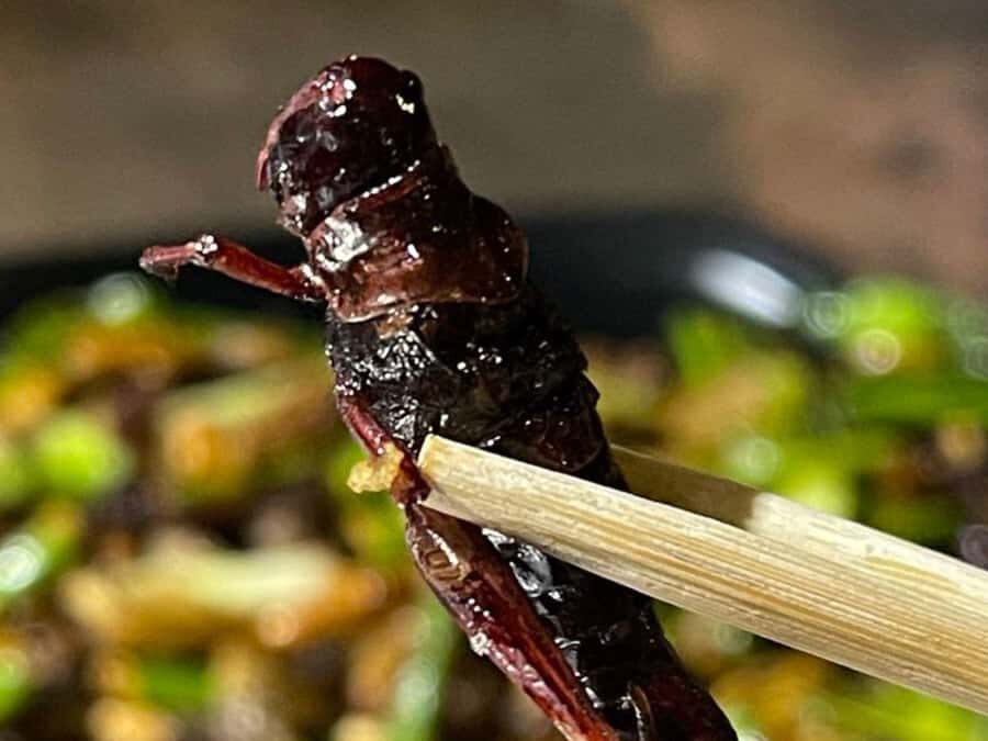 Siem Reap: Street Food in private & in English - Final Thoughts: Who Should Consider This Tour?