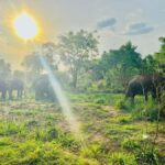 Sigiriya: Countryside Jeep Tour with Viewpoints & Villages - The Itinerary in Detail