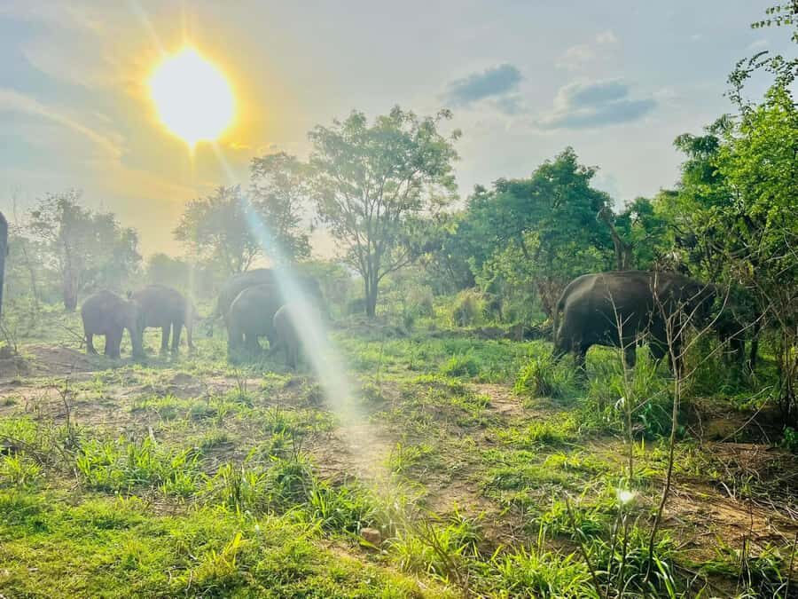 Sigiriya: Countryside Jeep Tour with Viewpoints & Villages - The Itinerary in Detail