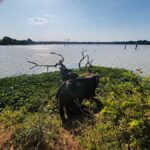 Sigiriya, Dambulla, 2 day tour with Minneriya safari - Frequently Asked Questions