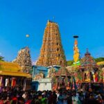 Sigiriya Dambulla and Minneriya Day Tour from Kandy - Exploring Nalanda Gedige