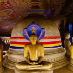Sigiriya & Dambulla Day Tour from Hotels in Ahungalla/Bentota - Who is This Tour Best For?