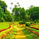 Sigiriya, Dambulla, Safari and Kandy in 3 days - What We Like and What to Consider