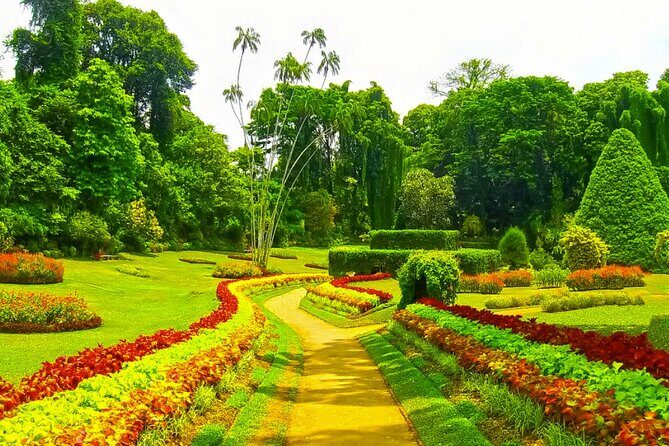 Sigiriya, Dambulla, Safari and Kandy in 3 days - What We Like and What to Consider