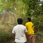 Sigiriya: Jungle Tour with Birdwatching and Wildlife - An In-Depth Look at the Sigiriya Jungle Tour