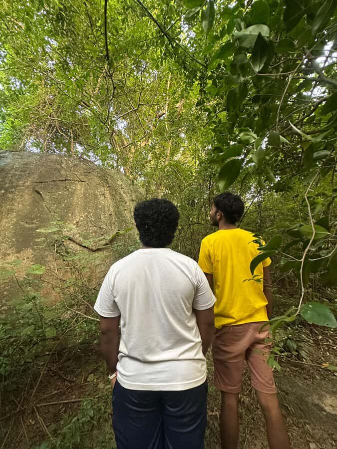 Sigiriya: Jungle Tour with Birdwatching and Wildlife - An In-Depth Look at the Sigiriya Jungle Tour