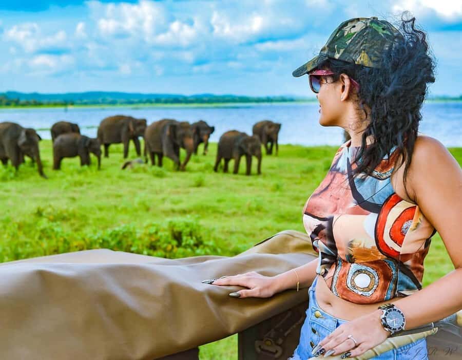 Sigiriya: Kaudulla National Park Safari  Elephants & Birds - Who Will Love This Tour?