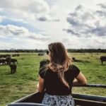 Sigiriya: Kaudulla National Park Safari & Village Tour - Exploring the Itinerary