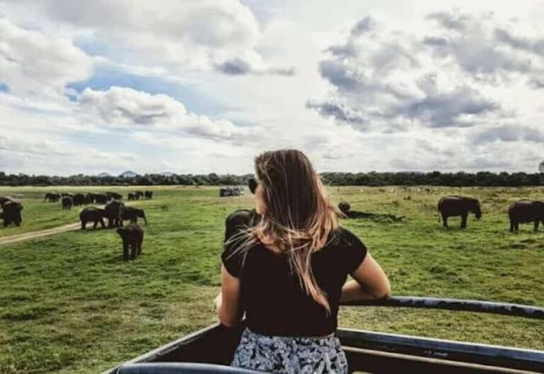 Sigiriya: Kaudulla National Park Safari & Village Tour - Exploring the Itinerary