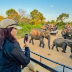 Sigiriya: Lion Rock Hike & Minneriya Safari Day Tour - Who Should Consider This Tour?