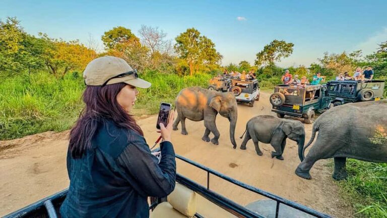 Sigiriya: Lion Rock Hike & Minneriya Safari Day Tour - Who Should Consider This Tour?