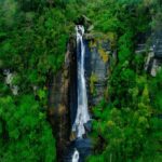 Sigiriya: Nuwara Eliya Day Trip with Tea Factory Visit - What Travelers Say About This Tour