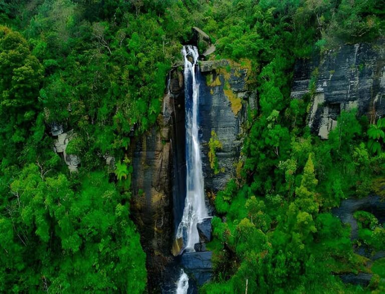 Sigiriya: Nuwara Eliya Day Trip with Tea Factory Visit - What Travelers Say About This Tour