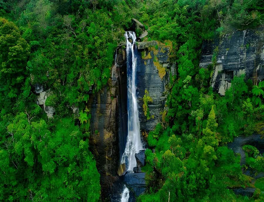Sigiriya: Nuwara Eliya Day Trip with Tea Factory Visit - What Travelers Say About This Tour