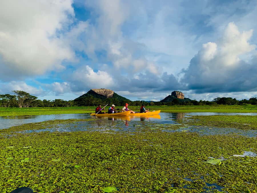 Sigiriya: Prime Horizon Kayak Experience