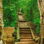 Sigiriya: Ritigala Forest Monastery & Dambulla Temple Tour - What Makes This Tour Stand Out
