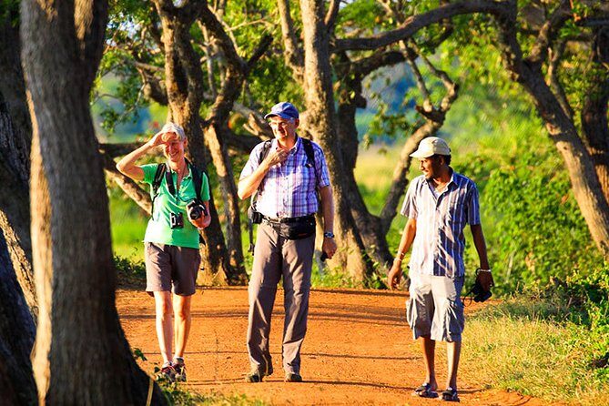 Sigiriya Village Tour from Habarana - Transportation and Group Size