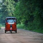 Sigiriya: Village Tour with Bullock Cart Ride & Lunch - Walking Through the Village: Learning and Connecting