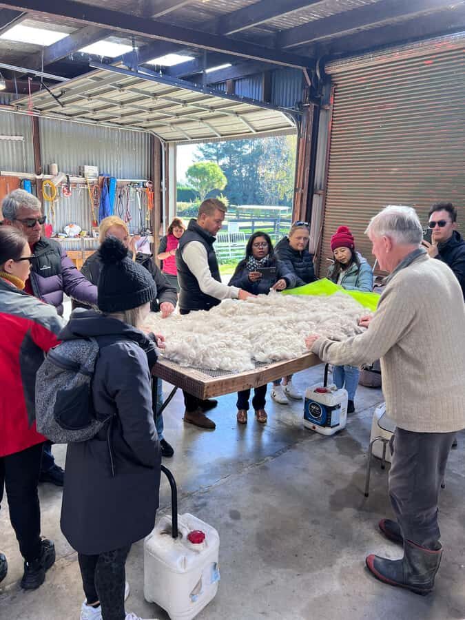 Silverstream Alpaca Farm Tour with Feeding and Guide - Practical Tips for Your Visit