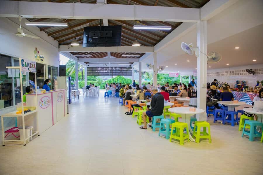 Similan Island - Snorkeling - Snorkeling at Islands No. 5 and No. 6