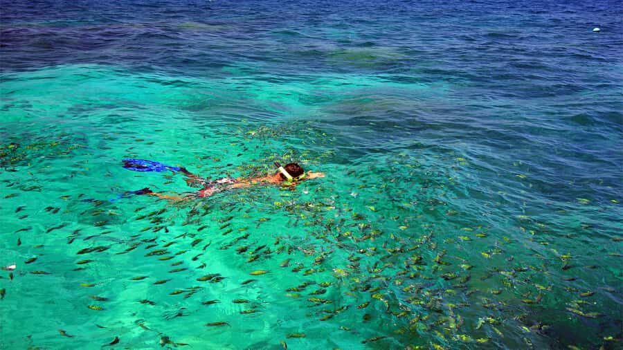Similan Islands Early-Bird Tour From Phuket and Khao Lak! - Why Travelers Love This Tour